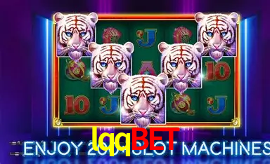 Game shows ao vivo